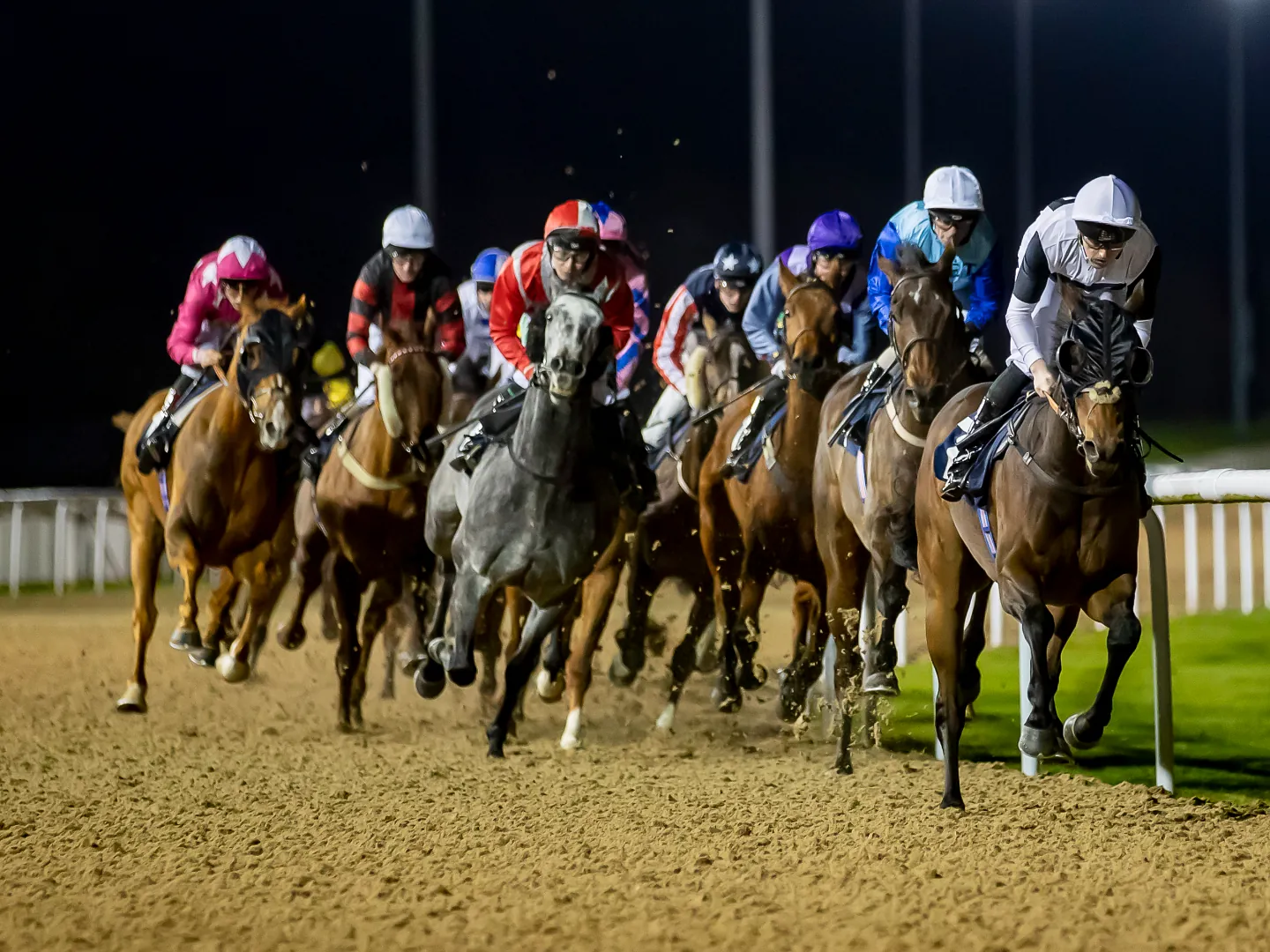 Summer Holidays Racing at Wolverhampton Racecourse