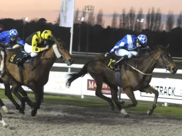 Jockeys keep their heads down as they race down the straight at Wolverhampton Races