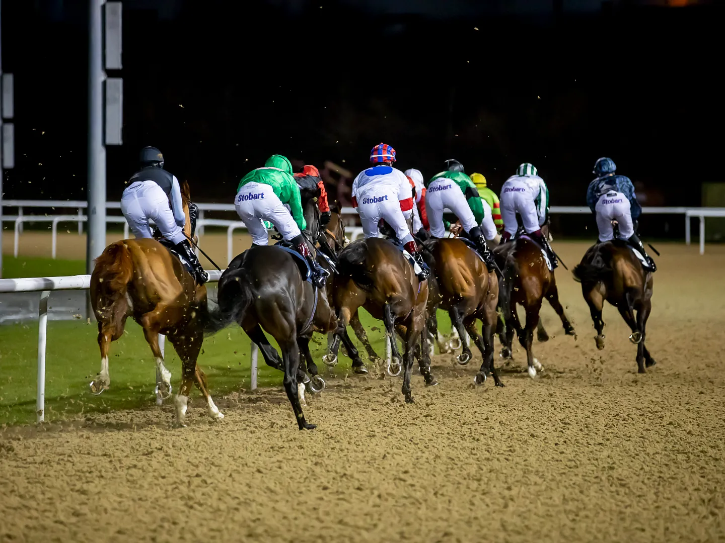 Evening racing at Wolverhampton Racecourse