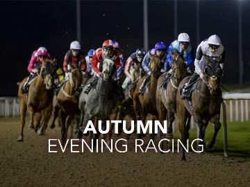 Autumn Evening Racing image