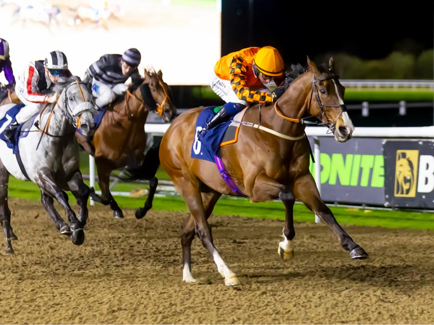 Friday Nights Under The Lights racing at Wolverhampton Racecourse