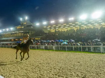 A horse and jockey set off for the starting gate in front of the grandstand crowd