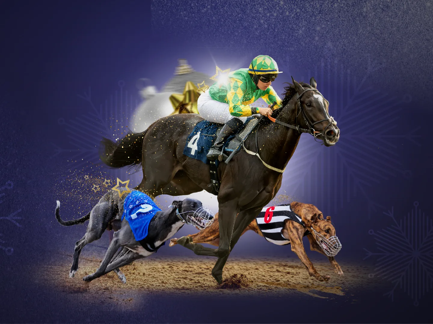 Christmas Festive Fixtures at Wolverhampton Racecourse