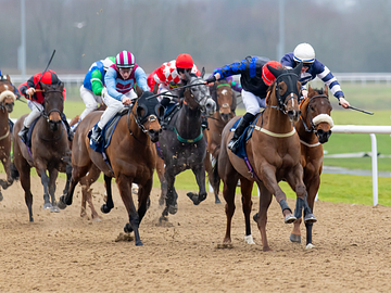 Wolverhampton Racing Spring racing