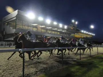 Horses race past the grandstand at Wolverhampton under the floodlights