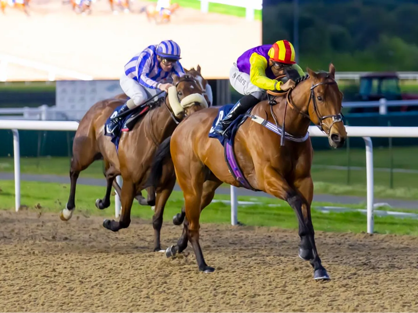All-weather racing at Wolverhampton Racecourse