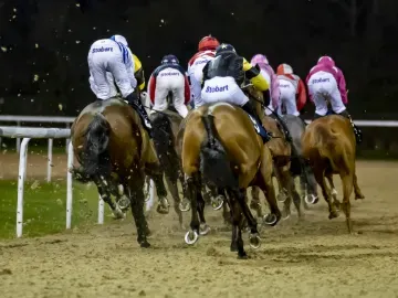 A view from behind jockeys and horses racing around the track at Wolverhampton