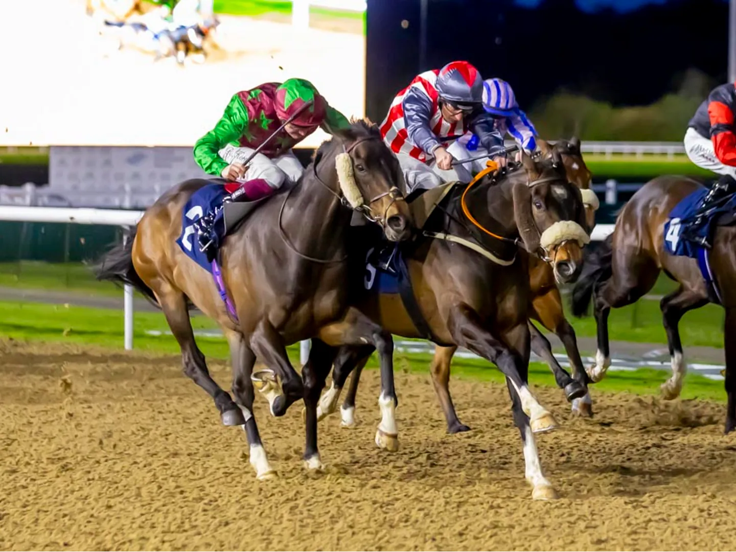 Horses racing at Wolverhampton Racecourse spring floodlit racing