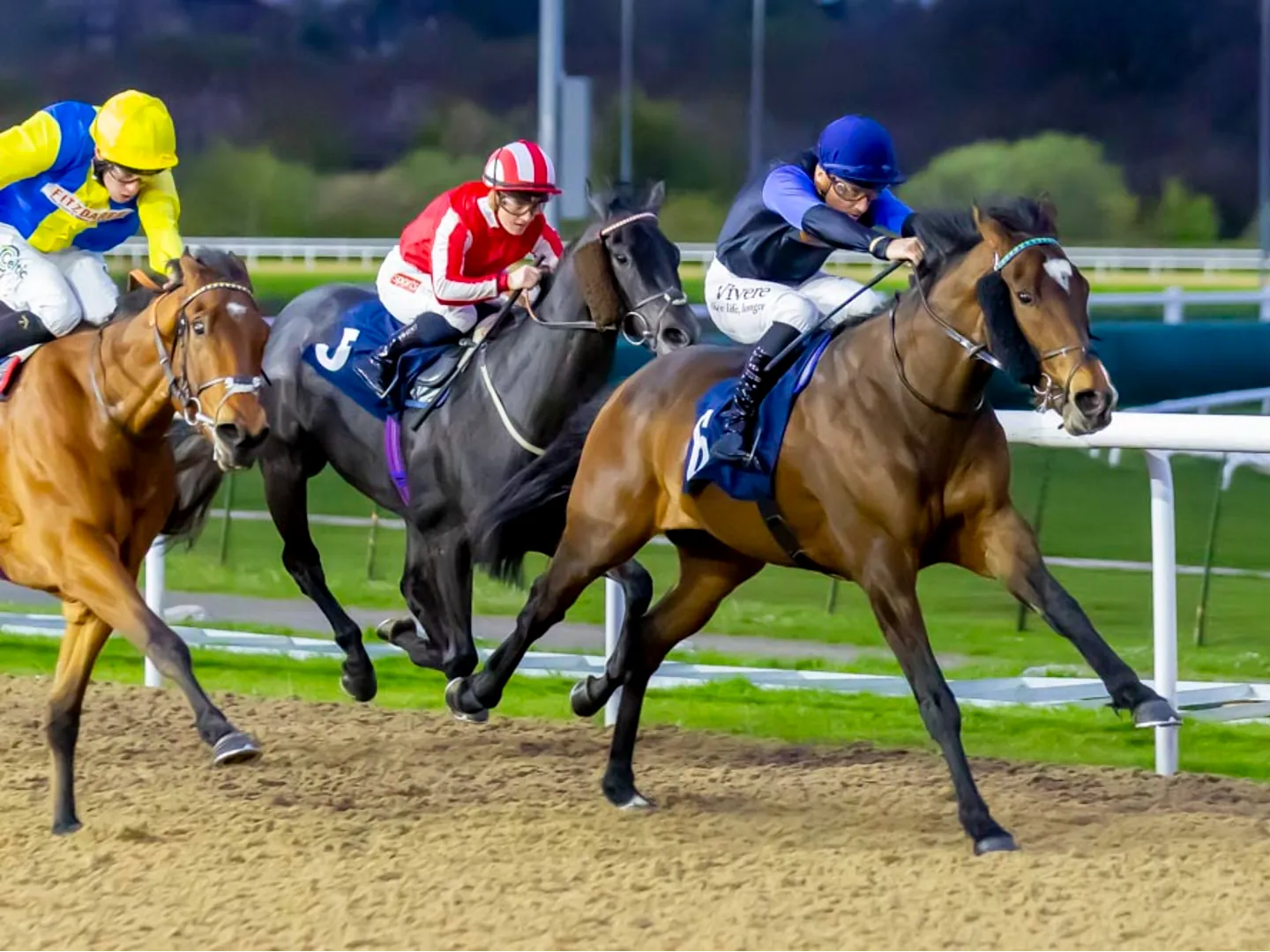 Monday evening racing at Wolverhampton Racecourse