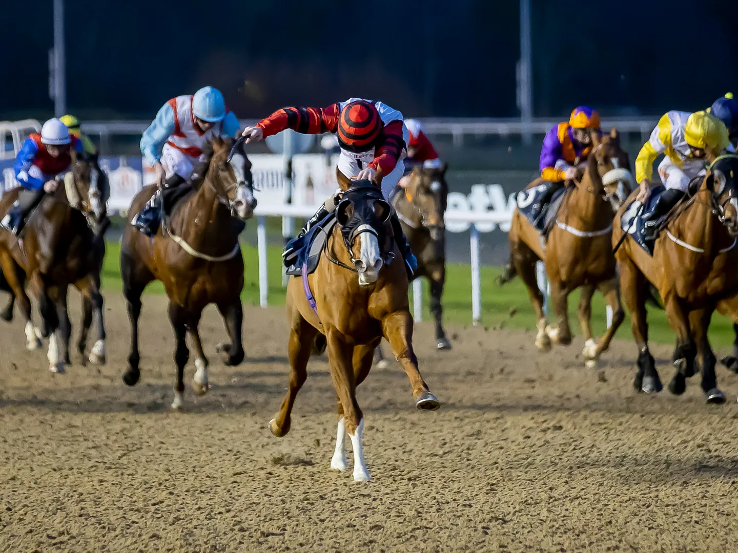 Tuesday floodlit racing at Wolverhampton Racecourse