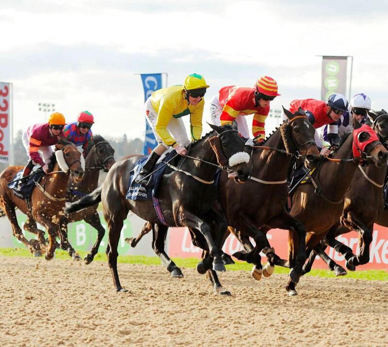 Jockeys taking part in the Lady Wulfruna race at Wolverhampton Racecourse.