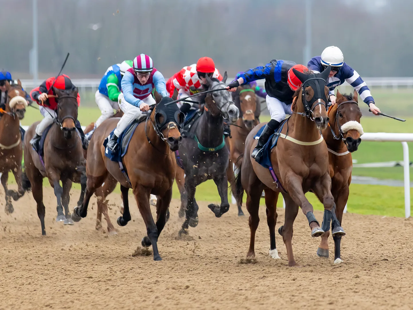 New Year's Racing 2027 at Wolverhampton Racecourse