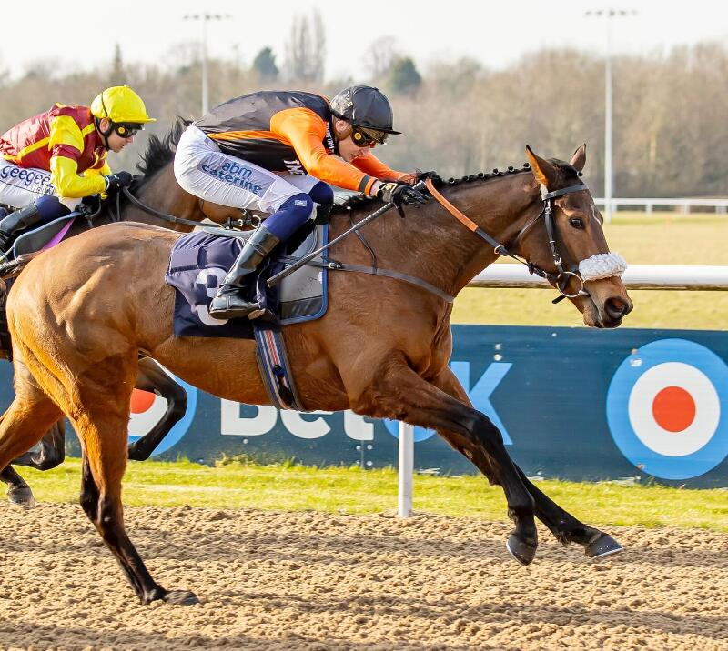 Royal Zabeel winning the Lady Wulfruna 2025