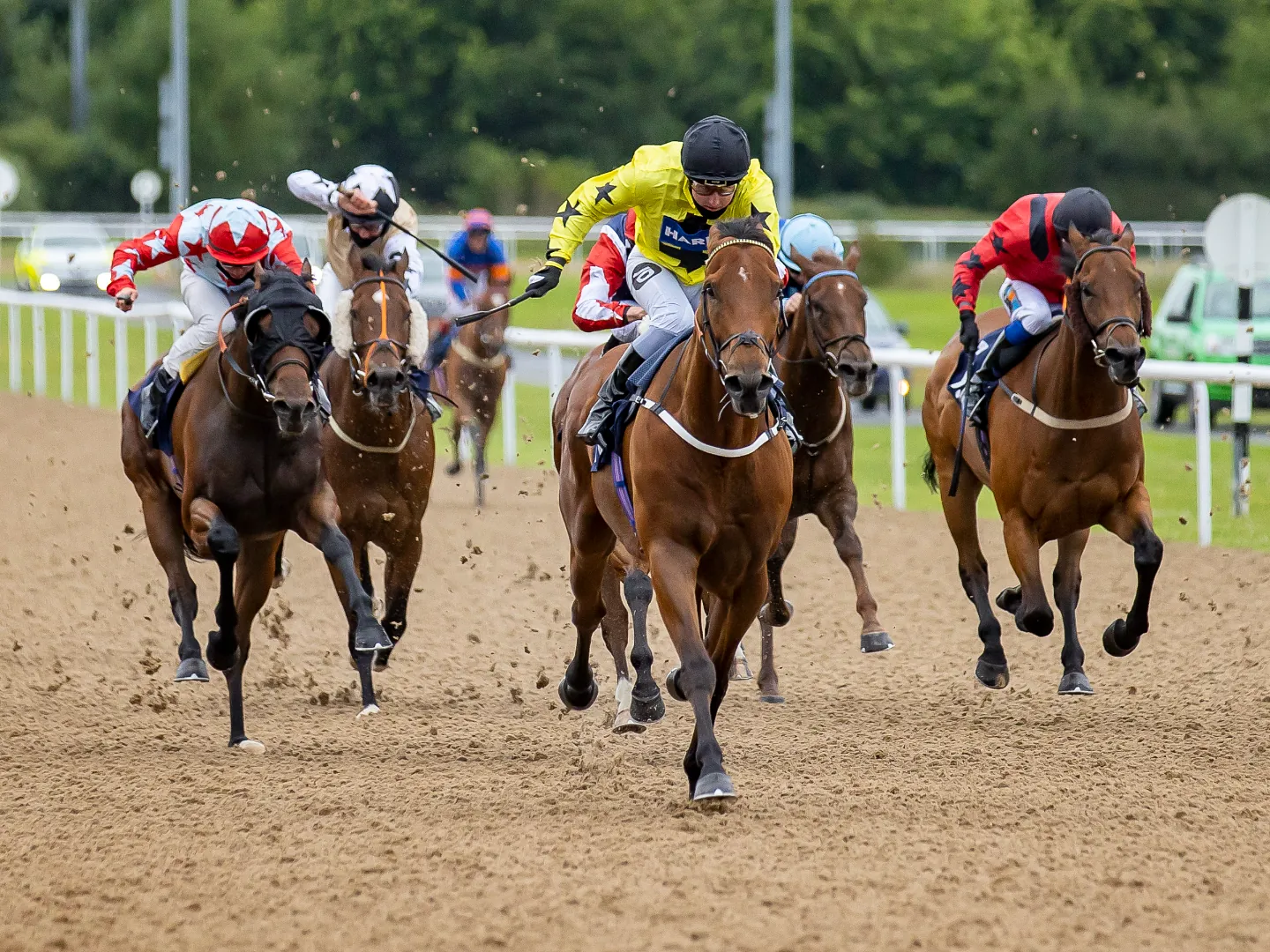 Afternoon all-weather racing at Wolverhampton Racecourse