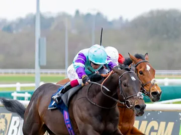 2026 Lady Wulfruna winner at Wolverhampton Racecourse