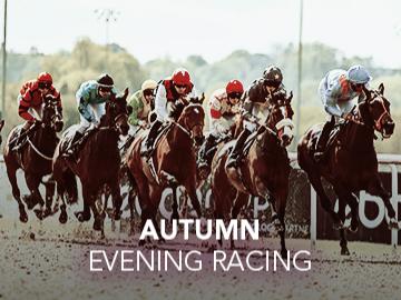 Autumn Evening Racing artwork