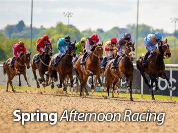 Wolverhampton Races Whats On | Fixtures | Wolverhampton Racecourse