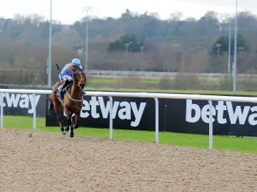 A lone horse and jockey race down the all weather track at Wolverhampton