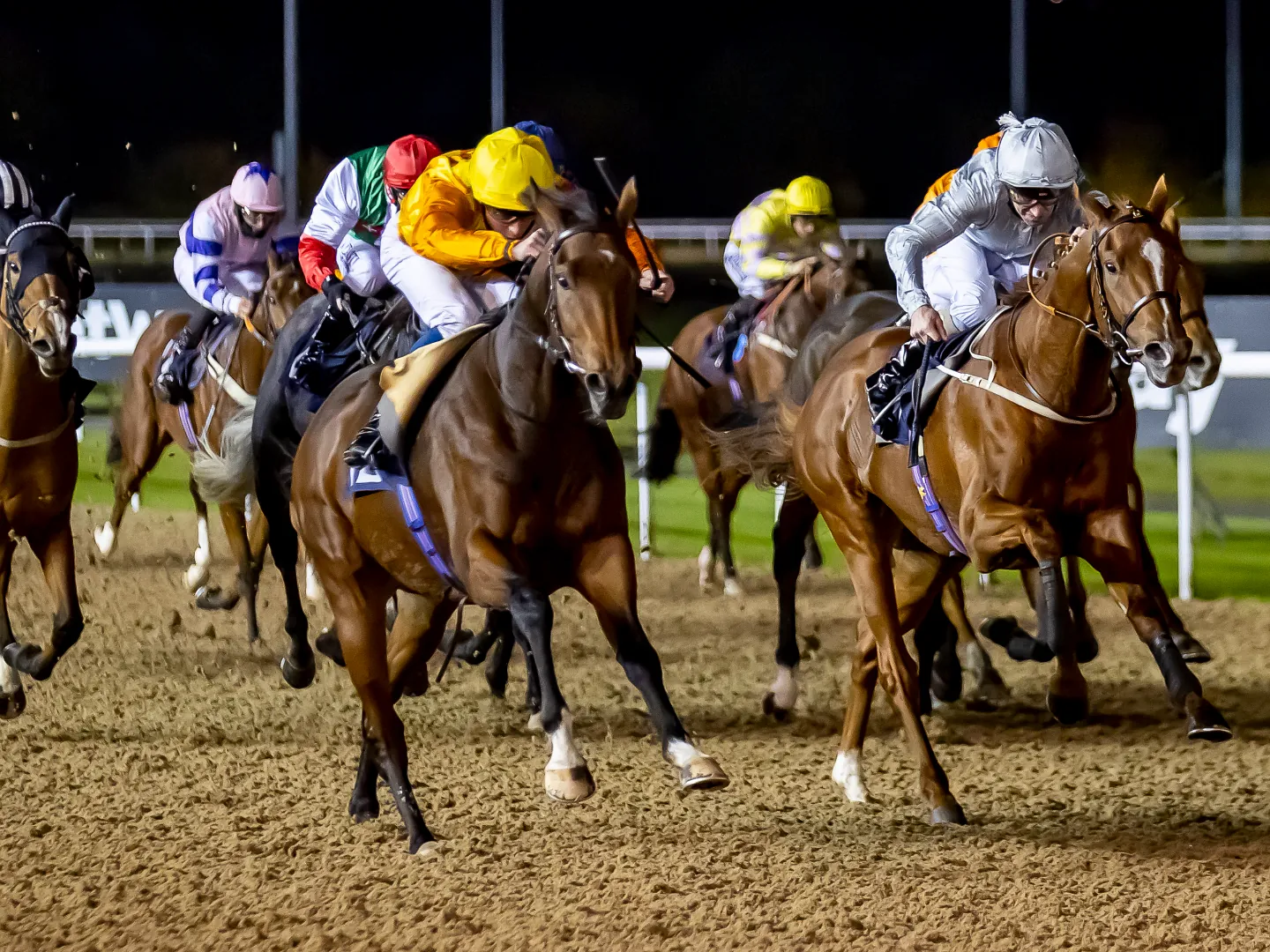 Winter Nights Under The Lights all-weather racing at Wolverhampton Racecourse